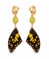 Butterfly earrings