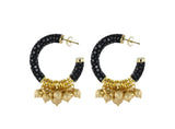 Hoops Soundwaves